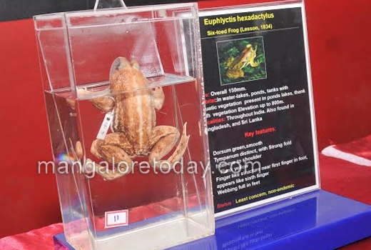 Birds, Frogs, dogs to the fore at  Pilikula wildlife week 1